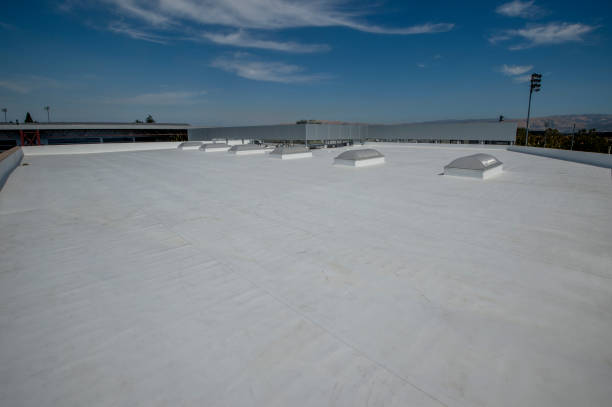 Best Roof Coating and Sealing  in Long Branch, NJ
